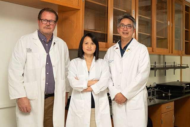 皇冠hga025大学洛杉矶分校的癌症研究人员Steven-Huy Han, Xianghong Jasmine Zhou和萨缪尔法国